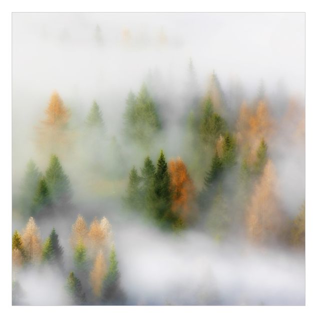 Decorazione per finestre - Foresta nebbiosa in autunno