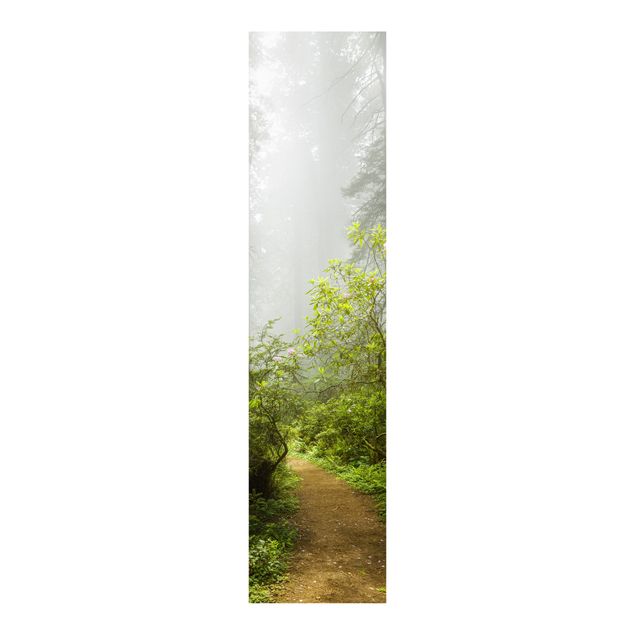 Set tende a pannello Sentiero della foresta nebbiosa