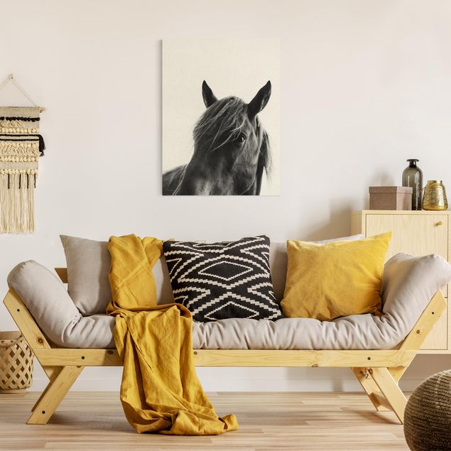 Riproduzioni su tela quadri famosi Cavallo curioso