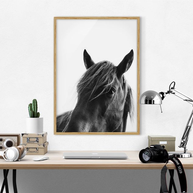 Poster con cornice - Cavallo curioso
