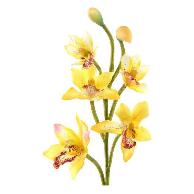 Adesivo murale no.173 Orchid Yellow