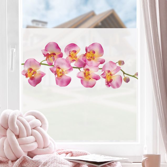 Pellicola per vetri per salone No.177 Orchidea rosa II