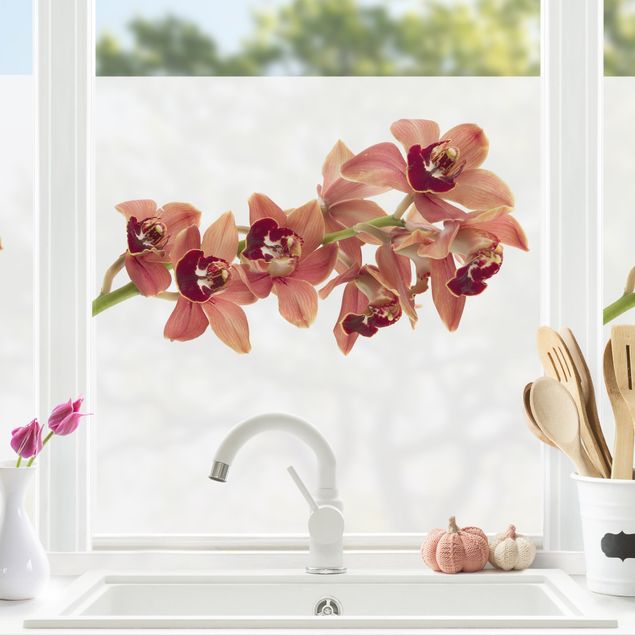 Pellicola per vetri con erbe No.180 Orchidee rossa II