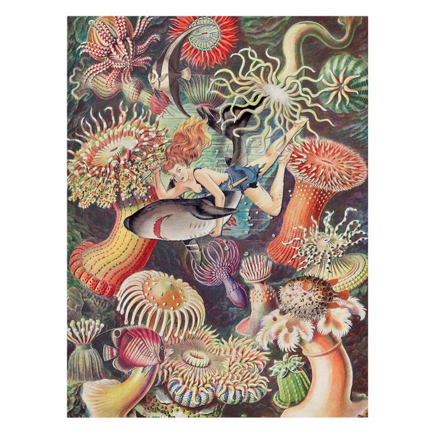 Stampe su tela vintage Ninfa con anemone di mare