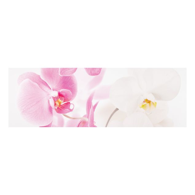 Quadro in forex - Delicate Orchids - Panoramico