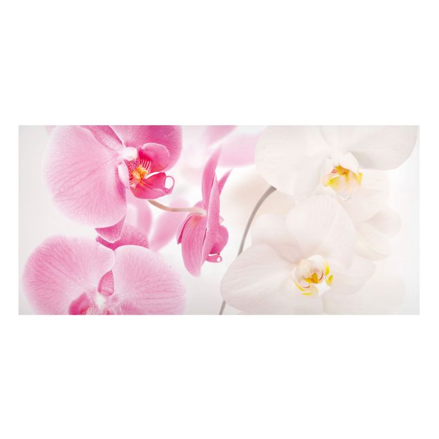 Lavagna magnetica - Orchids Delicate Orchids - Panorama formato orizzontale