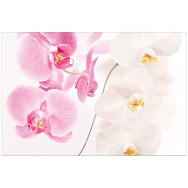 Pellicola per vetri per salone Orchidee delicate