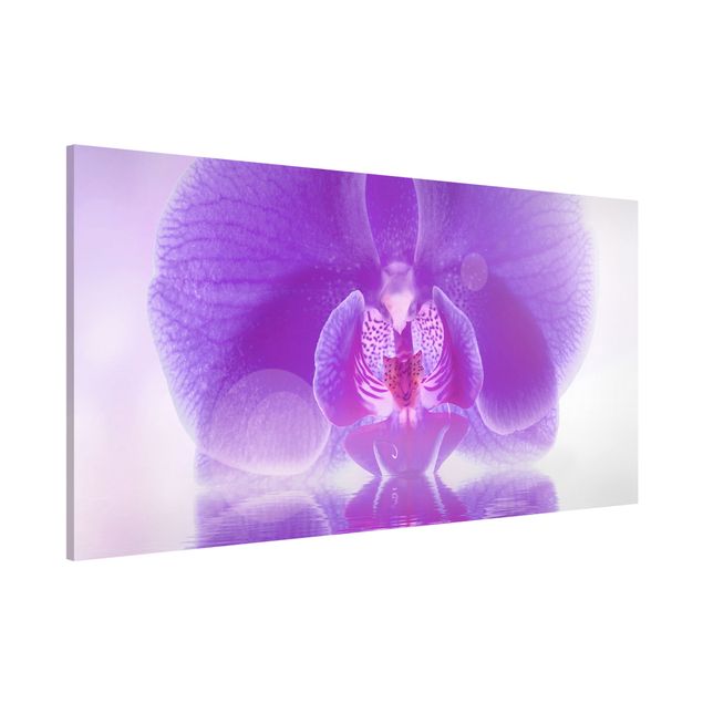 Lavagna magnetica per ufficio Orchidea viola sull'acqua