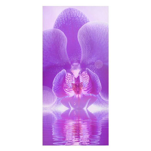 Lavagna magnetica - Orchids Picture Purple Orchid On Water - Panorama formato verticale