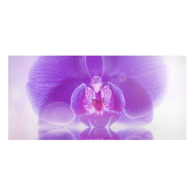 Lavagna magnetica - Orchids Picture Purple Orchid On Water - Panorama formato orizzontale