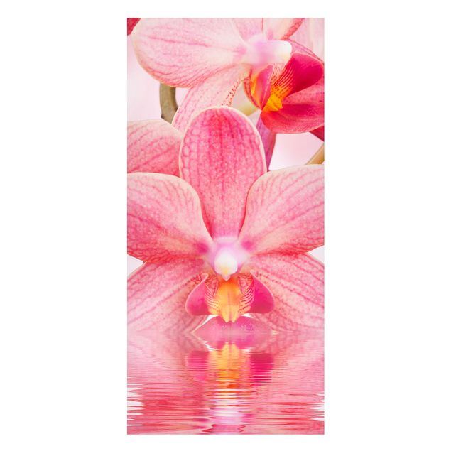 Lavagna magnetica - Orchids Picture Pink Orchids On Water - Panorama formato verticale