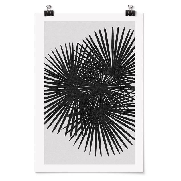 Poster - Foglie di palma in bianco e nero