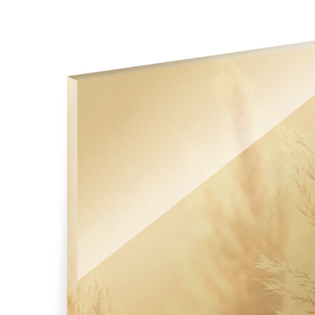 Quadro in vetro - Erba della Pampas nella luce del sole - Formato verticale