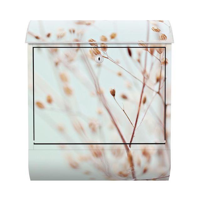 Cassetta postale - Gemme pastello su ramo di fiori selvatici