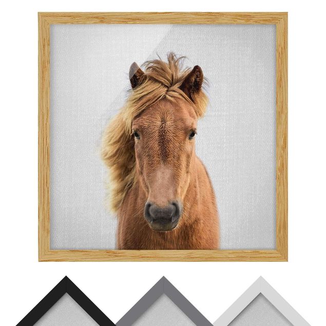 Poster con cornice - Cavallo Pauline