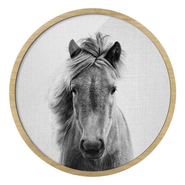 Quadro rotondo incorniciato - Cavallo Pauline in bianco e nero