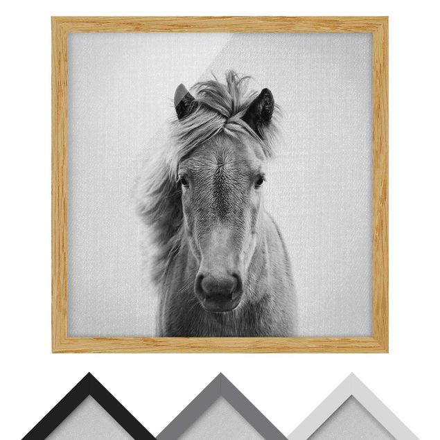 Poster con cornice - Cavallo Pauline in bianco e nero