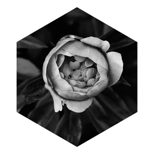 Carta da parati esagonale adesiva con disegni - Peonie in fiore su foglie in bianco e nero