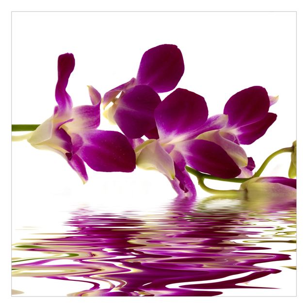 Carta da parati - Pink Orchid Waters