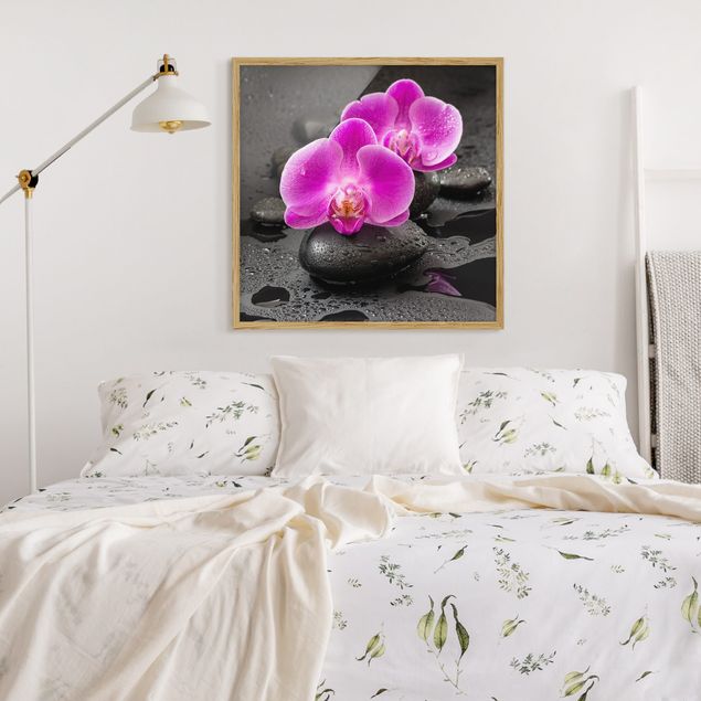 Poster con cornice - Fioritura di orchidee rosa su pietre con gocce