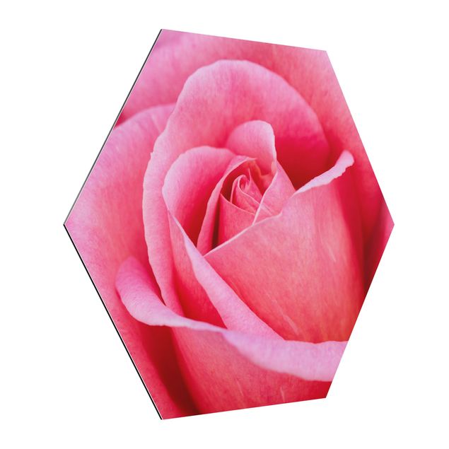 Esagono in Alluminio Dibond - Fioritura di rose rosa su sfondo verde