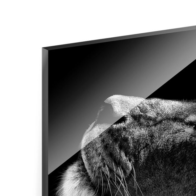 Quadro in vetro - Ritratto di una leonessa - Quadrato 1:1