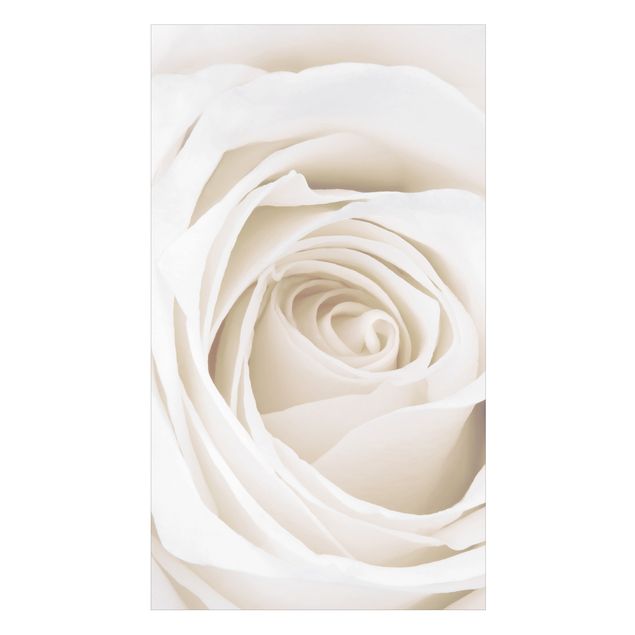 Rivestimento per doccia - Pretty White Rose