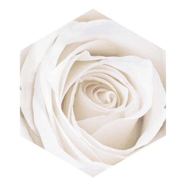 Carta da parati esagonale adesiva con disegni - Pretty White Rose