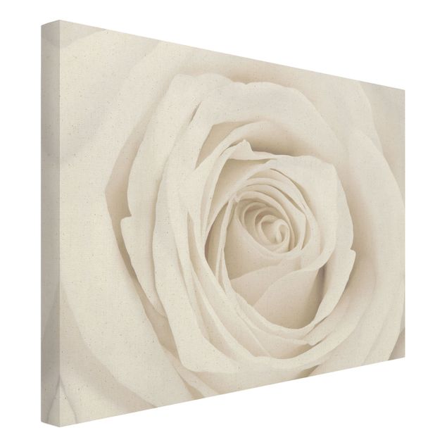 Quadro su tela oro - Pretty White Rose