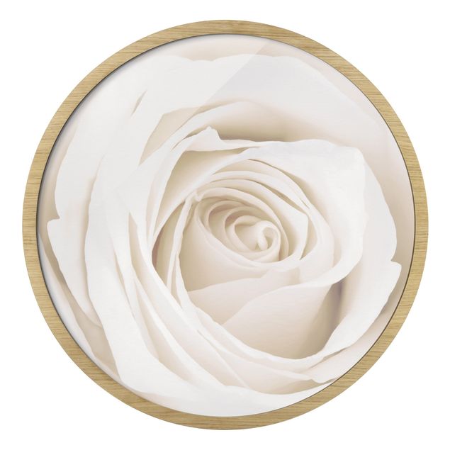 Quadro rotondo incorniciato - Pretty White Rose