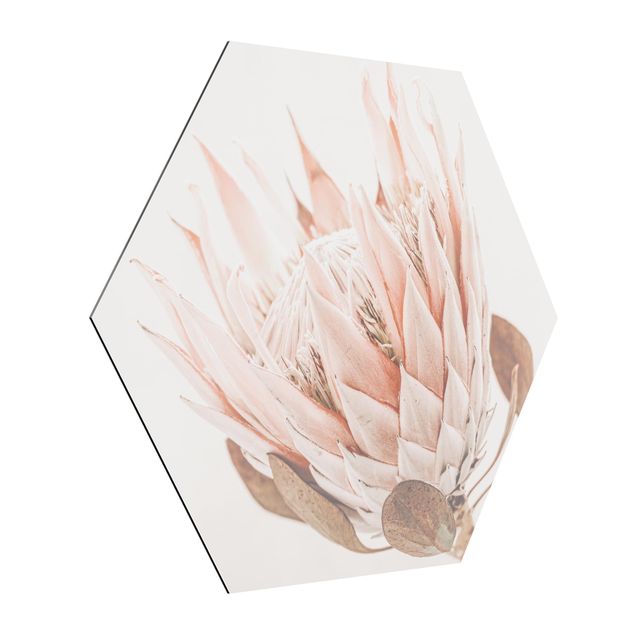 Esagono in Alluminio Dibond - Protea regina dei fiori
