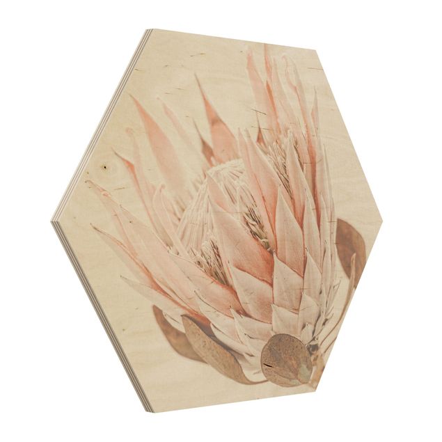 Esagono in legno - Protea regina dei fiori