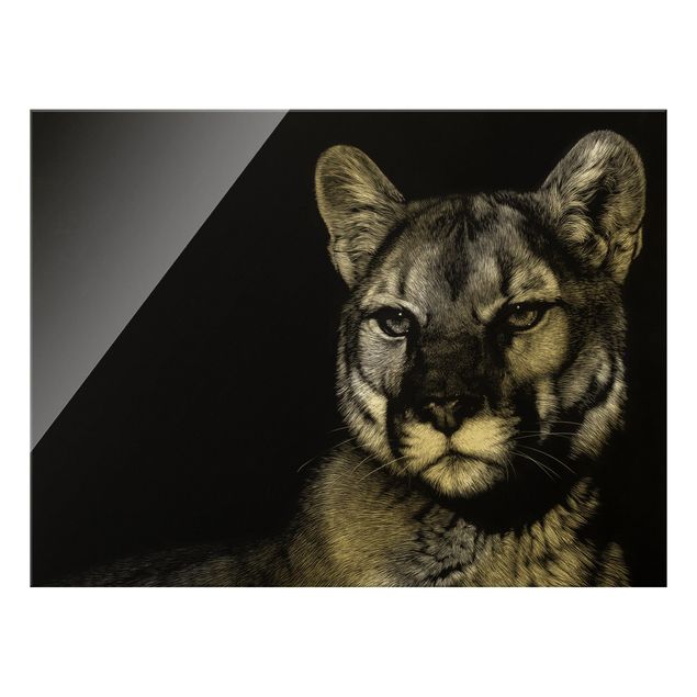 Quadro in vetro - Puma su sfondo nero - Formato orizzontale