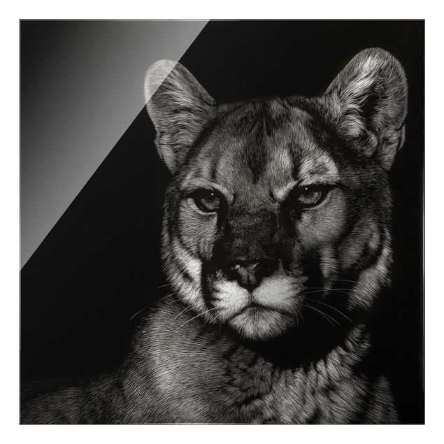 Quadro in vetro - Puma su sfondo nero - Quadrato