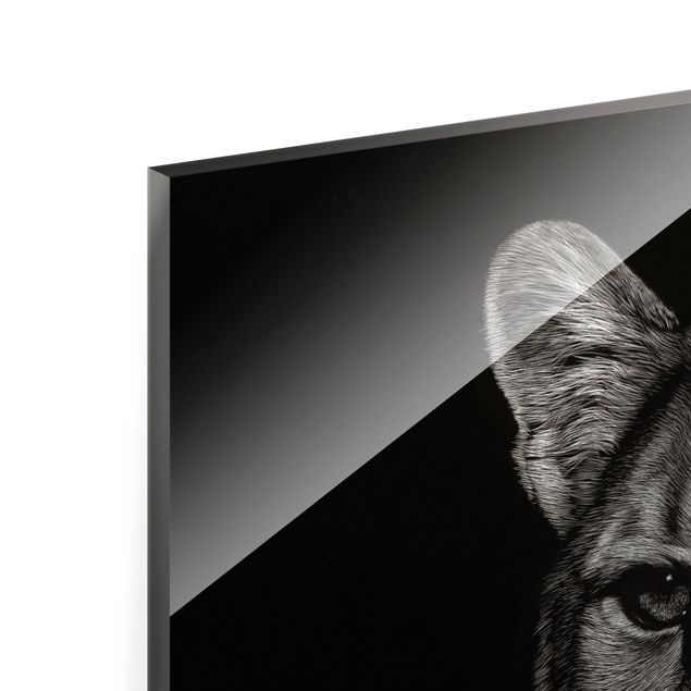 Quadro in vetro - Puma su sfondo nero - Quadrato