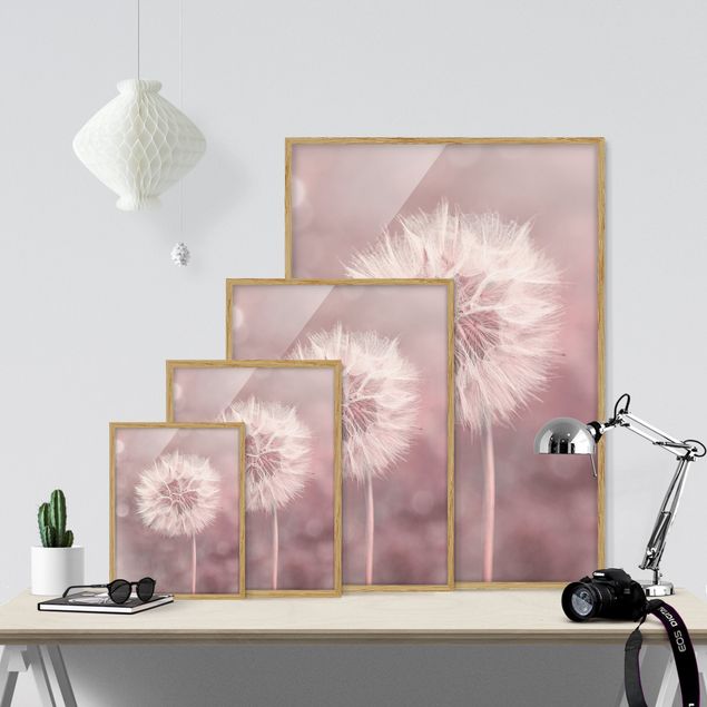 Poster con cornice - Soffione in effetto Bokeh rosa chiaro