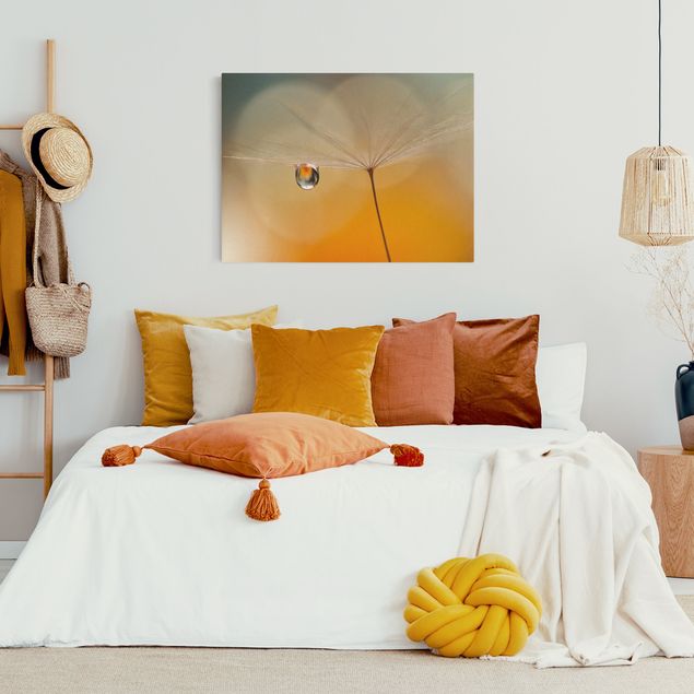 Quadri moderni per soggiorno Soffione in arancione