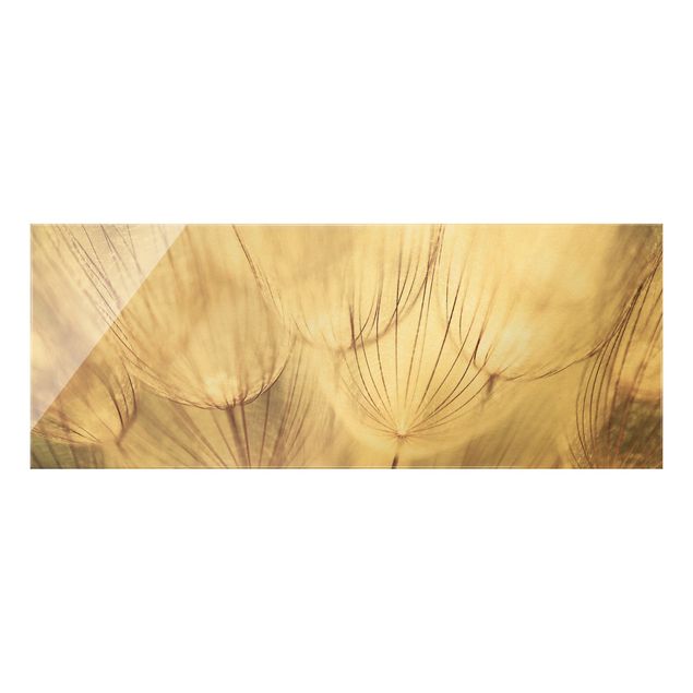 Quadro in vetro - Dandelions close-up in sepia tones homely - Panoramico