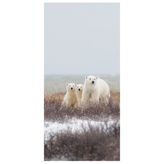 Tenda a pannello - Orso polare e suoi cuccioli - 250x120cm
