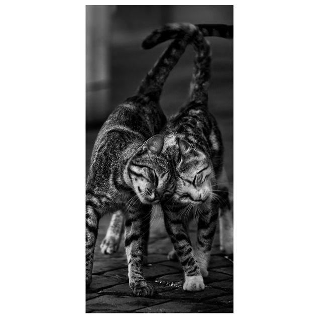 Tenda a pannello - kitten Amicizia - 250x120cm