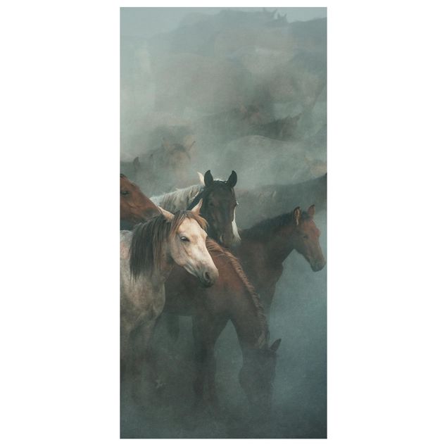 Tenda a pannello - Wild Horses - 250x120cm