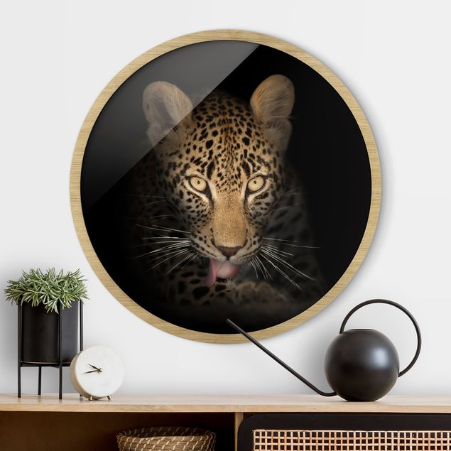 quadri con animali Leopardo a riposo