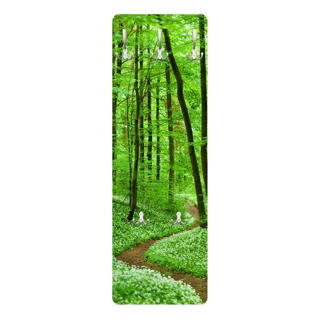 Appendiabiti - Romantic Forest Track