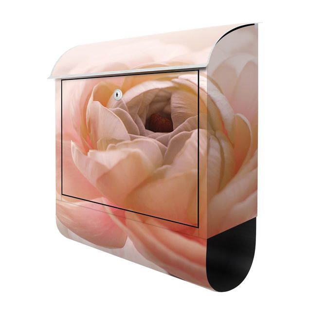 Cassetta postale - Focus su fioritura rosa