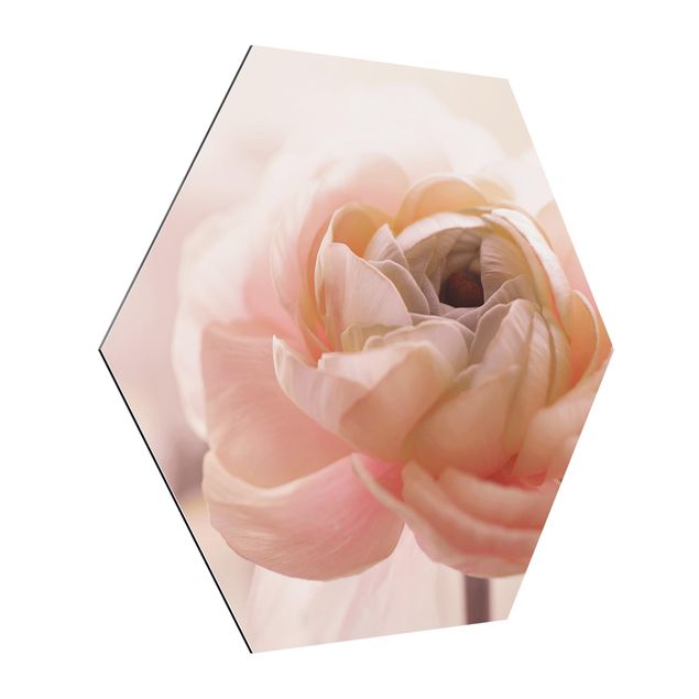 Esagono in Alluminio Dibond - Focus su fioritura rosa