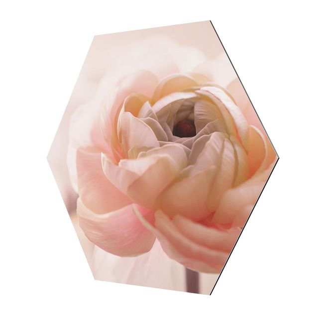 Esagono in Alluminio Dibond - Focus su fioritura rosa