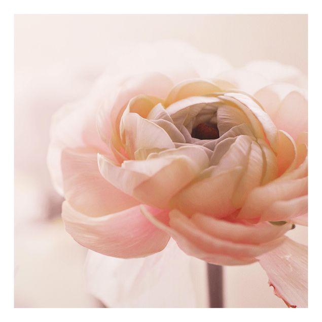 Stampa su Forex - Focus su fioritura rosa - Quadrato 1:1