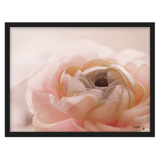 Poster con cornice - Focus su fioritura rosa