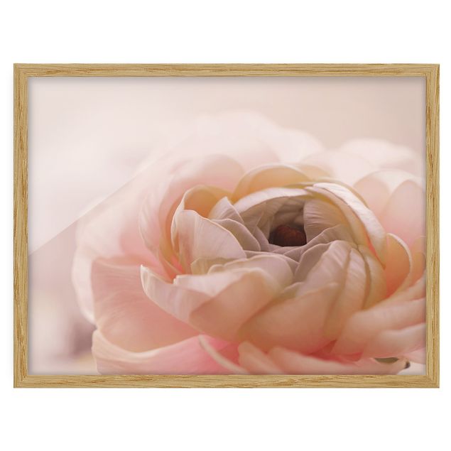 Poster con cornice - Focus su fioritura rosa
