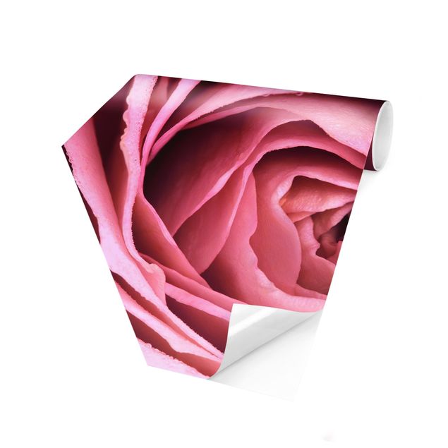 Carta da parati esagonale adesiva con disegni - Pink Rose Blossom